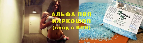 индика Балахна