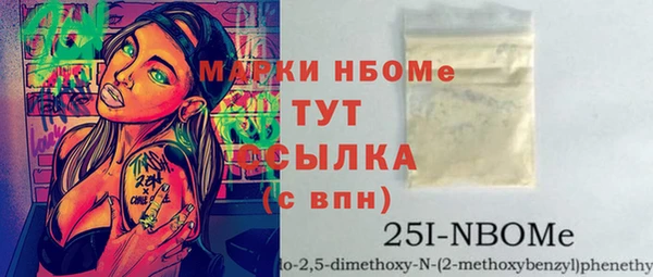 индика Балахна