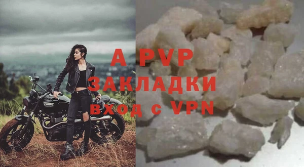 индика Балахна