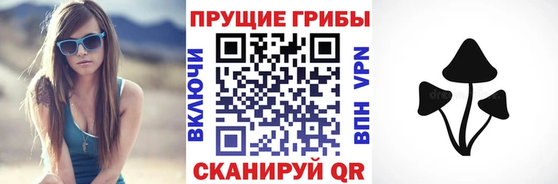 Галлюциногенные грибы Psilocybe  Воркута 